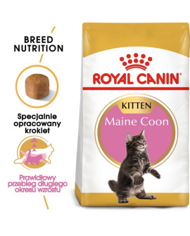 Royal Canin Maine Coon Kitten Karma Sucha Dla Kociąt, Do 15 Miesiąca, Rasy Maine Coon 400G