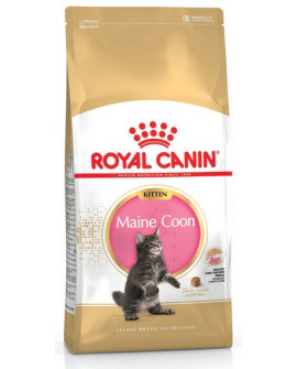 Royal Canin Maine Coon Kitten Karma Sucha Dla Kociąt, Do 15 Miesiąca, Rasy Maine Coon 400G