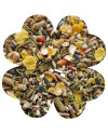 Alegia Enjoy Chomik 800G