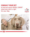 Royal Canin Veterinary Diet Canine Gastrointestinal Low Fat Small 1,5Kg