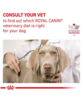 Royal Canin Veterinary Diet Canine Gastrointestinal Low Fat Small 1,5Kg