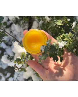 Francodex Biodene Balsam Regenerujący I Nawilżający Dla Zwierząt 50Ml