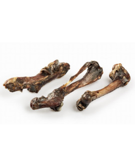 Balto Kość Dzika 1Szt