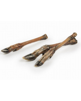 Balto Racica Sarny 5Szt