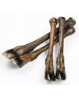 Balto Racica Jelenia 2Szt