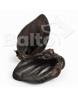 Balto Ucho Dzika 1Szt