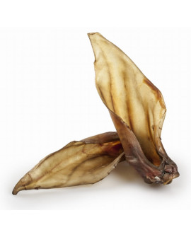 Balto Ucho Jelenia 1Szt