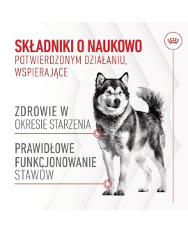 Royal Canin Joint & Ageing Chews Adult Supplements 240G