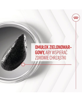 Royal Canin Joint & Ageing Chews Adult Supplements 240G