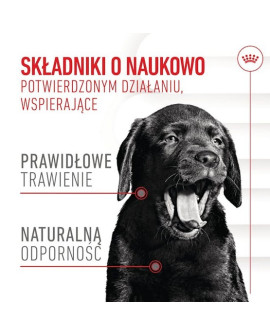 Royal Canin Immunity & Digestion Chews Puppy Supplements 100G