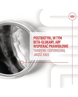 Royal Canin Immunity & Digestion Chews Puppy Supplements 100G