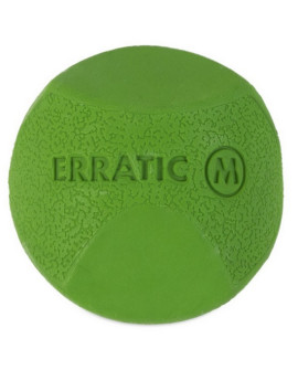Chuckit! Erratic Ball Medium [201101]