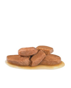 Royal Canin Veterinary Diet Canine Early Renal W Sosie Saszetka 100G