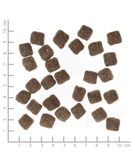 Wolfsblut Dog Dark Forest Small - Dziczyzna I Bataty 2Kg