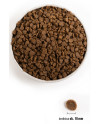 Acana Wild Prairie Cat & Kitten 340G