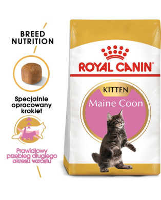 Royal Canin Maine Coon Kitten Karma Sucha Dla Kociąt, Do 15 Miesiąca, Rasy Maine Coon 2Kg