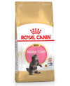 Royal Canin Maine Coon Kitten Karma Sucha Dla Kociąt, Do 15 Miesiąca, Rasy Maine Coon 2Kg