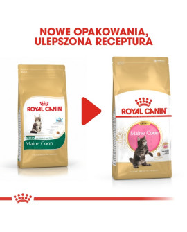 Royal Canin Maine Coon Kitten Karma Sucha Dla Kociąt, Do 15 Miesiąca, Rasy Maine Coon 2Kg