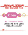 Royal Canin Maine Coon Kitten Karma Sucha Dla Kociąt, Do 15 Miesiąca, Rasy Maine Coon 2Kg