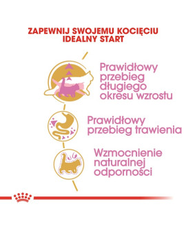 Royal Canin Maine Coon Kitten Karma Sucha Dla Kociąt, Do 15 Miesiąca, Rasy Maine Coon 2Kg