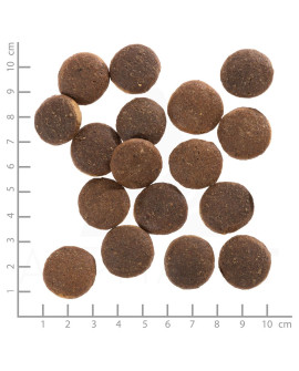 Wolfsblut Dog Red Rock - Kangur I Bataty 12,5Kg