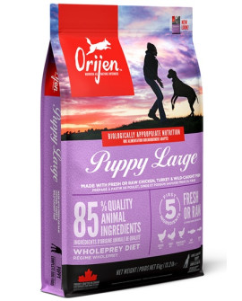 Orijen Puppy Large Breed 6Kg