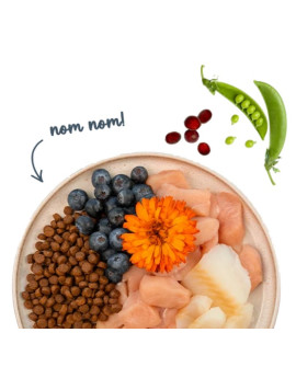 Sanabelle Adult Forelle - Z Pstrągiem 400G