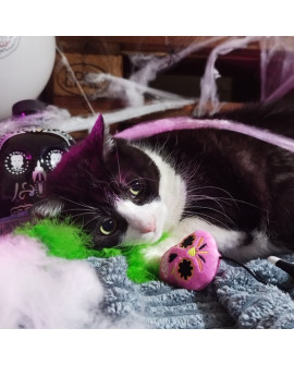 Dingo Zabawka Dla Kota - Wędka Upiorek