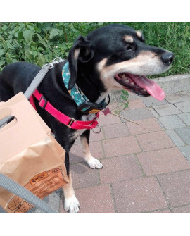 Dingo Papierowe Torebki Na Odchody 10Szt