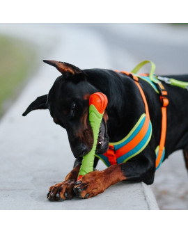 Dingo Zabawka Dla Psa - Guma Tpr - Aport Dent 30Cm