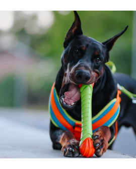 Dingo Zabawka Dla Psa - Guma Tpr - Aport Dent 30Cm