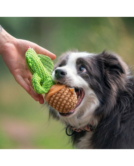 Dingo Zabawka Dla Psa - Kaktus Dolores 19Cm
