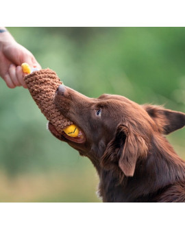 Dingo Zabawka Dla Psa - Taco 20Cm