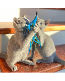 Dingo Zabawka Dla Kota - Wędka Charming Z Trzema Wymiennymi Zabawkami