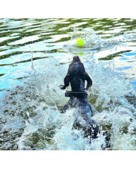 Dingo Zabawka Dla Psa - Piłka Świecąca Play & Glow 14X8Cm