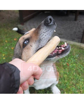 4Dogs Gryzak Z Drzewa Kawowego M