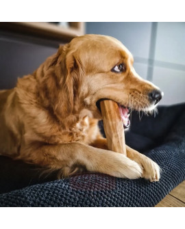 4Dogs Gryzak Z Drzewa Oliwnego S