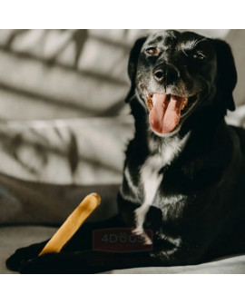 4Dogs Gryzak Z Sera Himalajskiego Churpi Original L