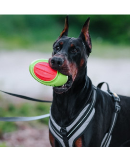 Dingo Zabawka Dla Psa - Guma Tpr - Rugby Dent 17Cm