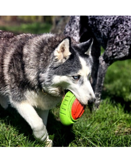 Dingo Zabawka Dla Psa - Guma Tpr - Rugby Dent 17Cm