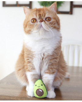 Petstages Lil' Avocato Dla Kota [Ps67840]