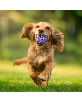 Toby's Choice Spiderweb Ball Small [Tc10026]