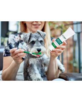 Vet's Best Dental Żel + Szczoteczka Zestaw Adult