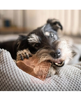 4Dogs Gryzak Z Korzenia Drzewa Wrzosowego L