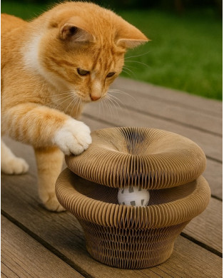 Zolux Chatouille Drapka Tekturowa Składana Łapka Z Piłką I Kocimiętką