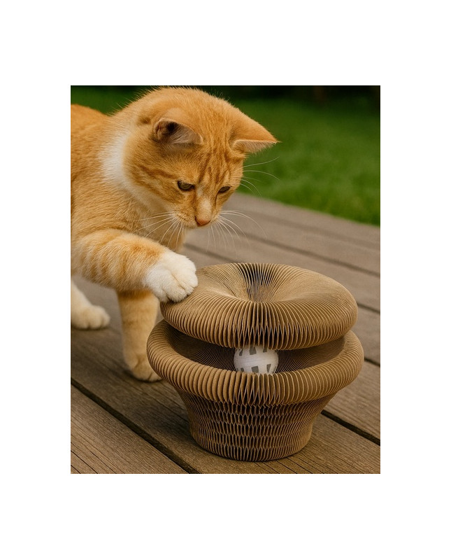 Zolux Chatouille Drapka Tekturowa Składana Łapka Z Piłką I Kocimiętką