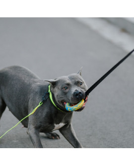 Dingo Zabawka Dla Psa - Szarpak Ringo Z Rączką Bungee 10Cm