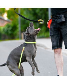 Dingo Zabawka Dla Psa - Szarpak Ringo Z Rączką Bungee 10Cm