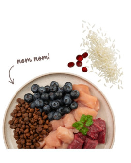 Sanabelle Adult Sensitive Lamb Z Jagnieciną 400G