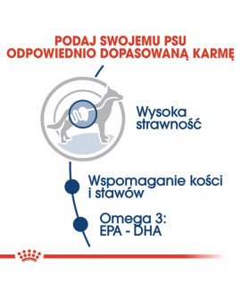 Royal Canin Maxi Adult Karma Mokra W Sosie Dla Psów Dorosłych, Do 5 Roku Życia, Ras Dużych Saszetka 140G
